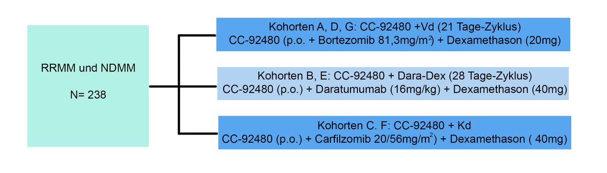 Schema CC 92480